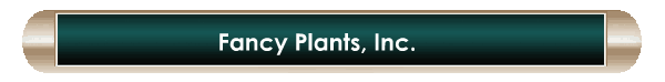 Fancy Plants, Inc.